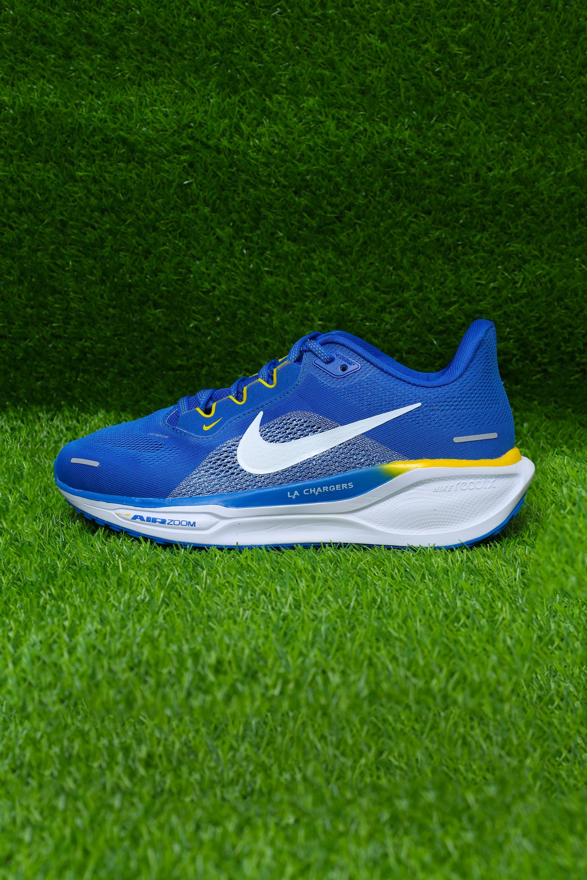 Nike Pegasus 41