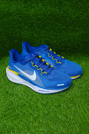 Nike Pegasus 41